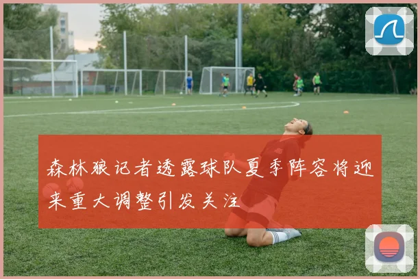 森林狼记者透露球队夏季阵容将迎来重大调整引发关注