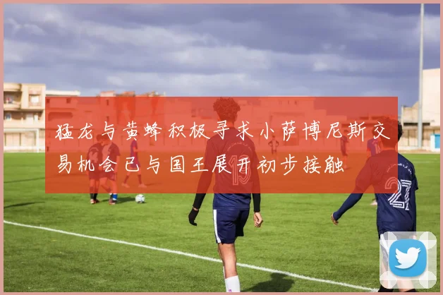 猛龙与黄蜂积极寻求小萨博尼斯交易机会已与国王展开初步接触